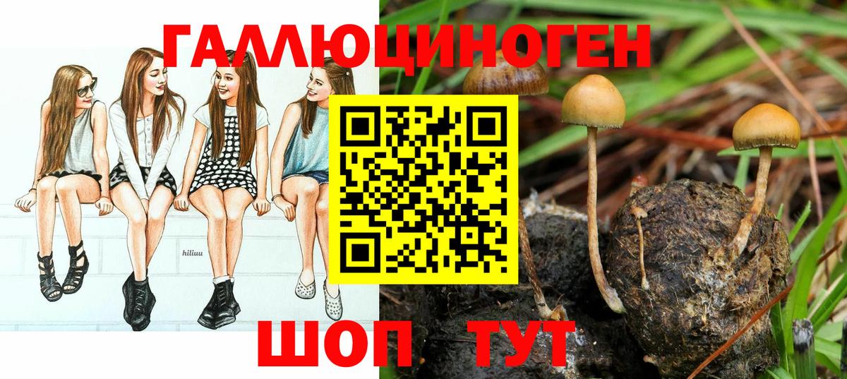 Псилоцибиновые грибы мухоморы  Вход с VPN  купить   Ставрополь 